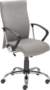 Krzesło biurowe Nowy Styl Leon Steel EF031 Szary 1