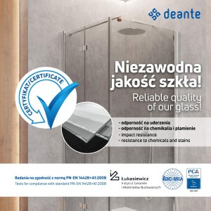 Deante kabina prysznicowa Nero 90x90 (KYC_N41K) 5
