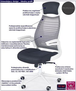 Krzesło biurowe Profeos Logan Popielate 2