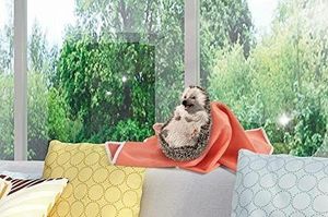 Spontex Ścierka Do Okien Window Microfibre Pomarańczowa 4