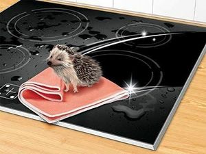 Spontex Ścierka Do Okien Window Microfibre Pomarańczowa 6