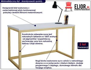 Biurko Elior Inelo T3 Białe 100 cm x 50 cm 2