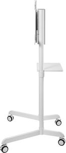 Neomounts Stojak podłogowy NS-M1250WHITE 37'' - 70'' 3