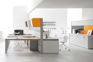 Neomounts Uchwyt biurkowy na monitor 10" - 49" (NM-D775WHITEPLUS) 5