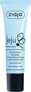 Ziaja Fluid-Korektor do twarzy 2