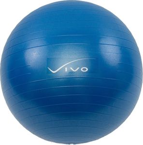 Vivo Piłka gimnastyczna FA001 55cm dark blue 1