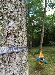Eno System zawieszenia Helios XL Grey 8