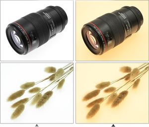 Puluz WkŁadka / PodkŁdka Led Bezcieniowa - 1200lm 40cm - Do Namiotu 11