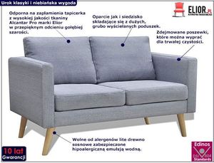 Elior Sofa dwuosobowa Lavinia 2S - jasnoszara 3
