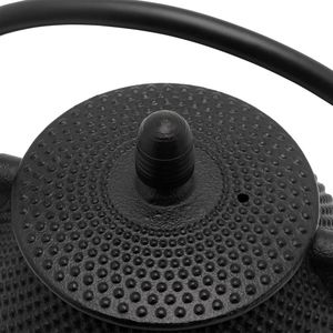 Bredemeijer Bredemeijer Teapot Wuhan 1,0l Gusseisen black +Filter 153005 3