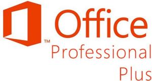 Microsoft Office 2013 Professional Plus OLP NL Government (79P-04763) 2