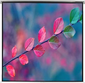 Ekran do projektora vidaXL 240715 2