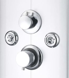 Zestaw prysznicowy vidaXL z deszczownicą z baterią chrom (142994) 6