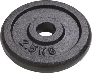 vidaXL Obciążniki żeliwne, 8 sztuk, 20 kg (91391) 2
