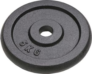 vidaXL Obciążniki żeliwne, 4 sztuki, 20 kg 2