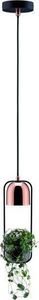 Lampa wisząca Paulmann Oprawa wisząca Neordic Fanja 1x20W GU10 Czarny/Miedź 230V Metall PL79749 2
