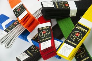 Bushido Pas do kimon Bushindo 240 cm zielony uniwersalny 3