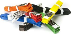 Bushido Pas do kimon Bushindo 280 cm czarny uniwersalny 2