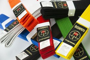 Bushido Pas do kimon Bushindo 280 cm pomarańczowy uniwersalny 3