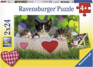 Ravensburger Puzzle 2x24 elementów Śpiące kocięta 1