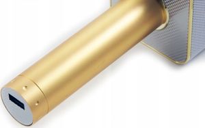 Mikrofon Xrec (SB4519) 6