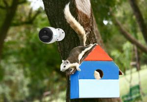 Kamera IP Reolink Go LTE 5