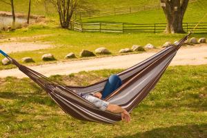 Royokamp  Hamak Classic XXL 2 osobowy 250x150cm brązowy 4