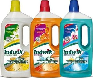 Ludwik Płyn uniwersalny Ludwik 2