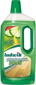 Ludwik Środek do czyszczenia 2