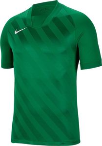 Nike Koszulka męska Challenge III zielona r. S (BV6703-302) 1