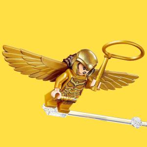 LEGO DC Wonder Woman kontra Cheetah (76157) 6