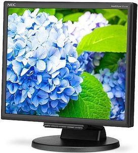 Monitor NEC MultiSync E172M (60005020) 2