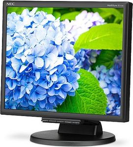 Monitor NEC MultiSync E172M (60005020) 5