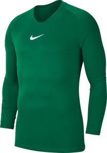 Nike Koszulka męska Dry Park First Layer zielona r. S (AV2609-302) 1
