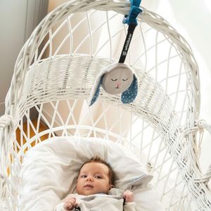 Whisbear Friends of Whisbear Szumiący króliś szary 3