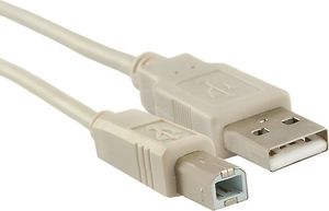 Kabel USB Qoltec USB-A - USB-B 3 m Beżowy (5901878523217) 1
