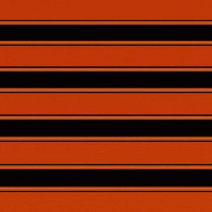 vidaXL Tkanina do markizy, pomarańczowo-brązowa, 500 x 300 cm 2