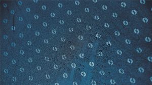 Namiot turystyczny Outwell Earth 2 5