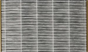 Toshiba Filtr powietrza CAF-H30(W) 2