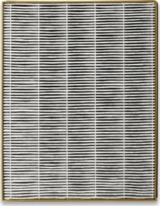 Toshiba Filtr powietrza CAF-H30(W) 3