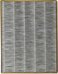 Toshiba Filtr powietrza CAF-H70W 2