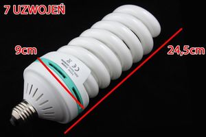 Massa 2x Żarówka studyjna 125W / 600W / TYP: 5 3