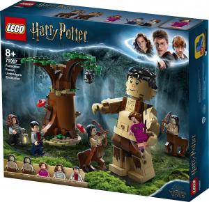 LEGO Harry Potter Zakazany Las: spotkanie Umbridge (75967) 7