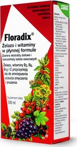 Vivio Żelazo i witaminy w płynnej formule 500ml Floradix 1