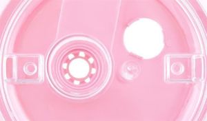 Malatec Pojemnik na wodę świnka 4