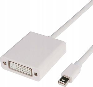 Adapter AV Pawonik DisplayPort Mini - DVI-I biały 1