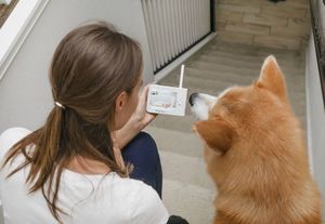 Niania Babysense Mobili  V35 7