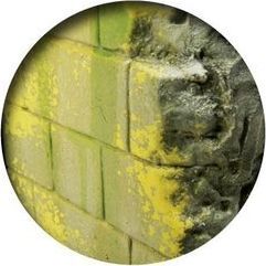 Vallejo Environment Moss and Lichen effect of moss and lichens uniwersalny 2