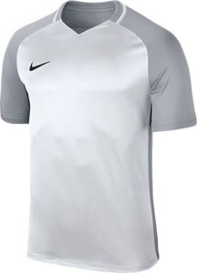 Nike Koszulka męska Dry Trophy III Jersey srebrna r. S (881483-100) 1