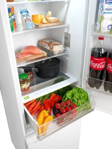 Lodówka Concept LKV5260 6